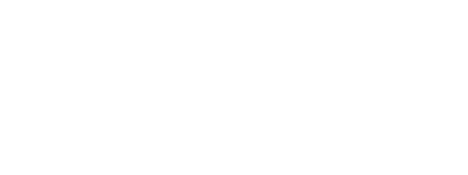 BCT Logo White